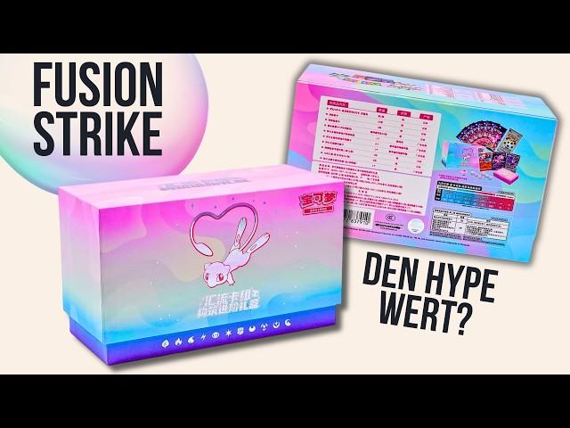 Diese TRAINER BOX ist ein absoluter BESTSELLER!