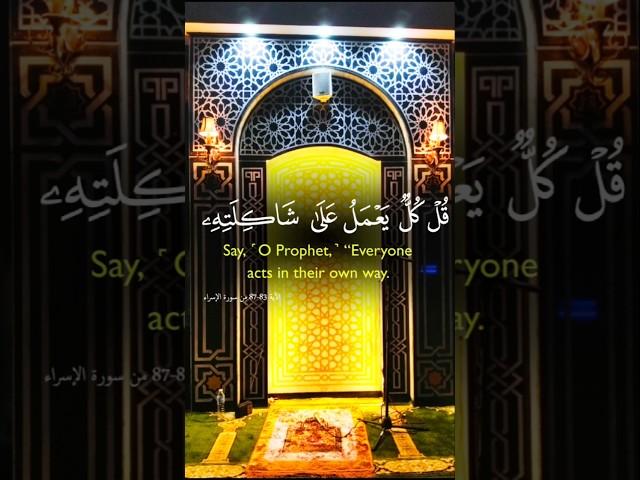 قرآن كريم  سورة الإسراء | نور القلوب