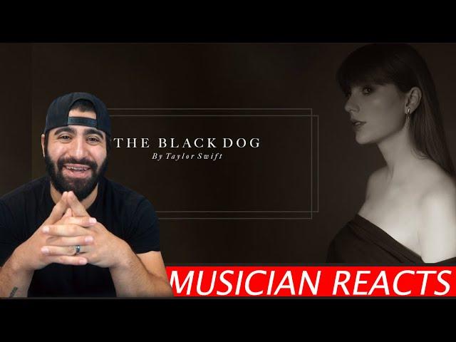 The Black Dog - Taylor Swift - Musician's Reaction