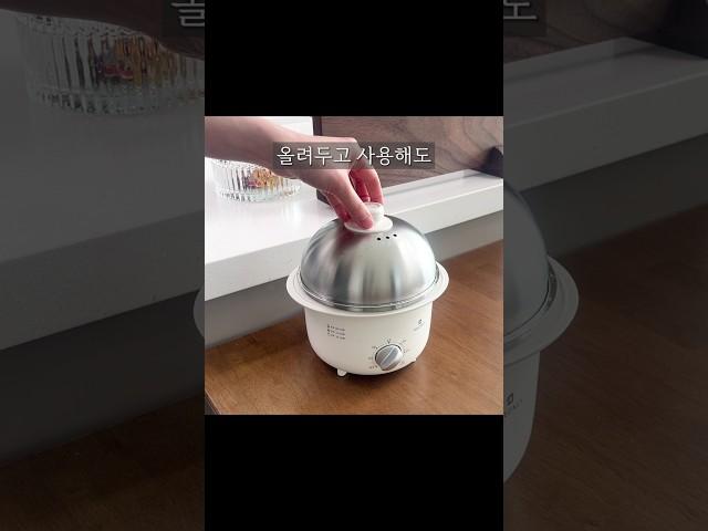 주방 소형가전 중 최고! 이건 주방에 꼭 두세요. 디온리 올스텐 전기 찜기