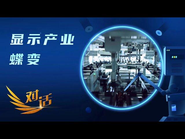 中国的半导体显示行业如何从无到有、从小到强？这期间经历了怎样的追赶、考验和赶超？「对话」20241116 | 财经风云