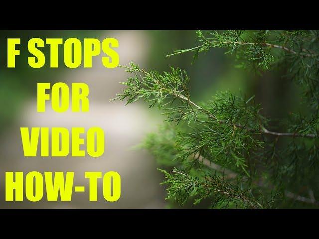 F Stops for Video Explained