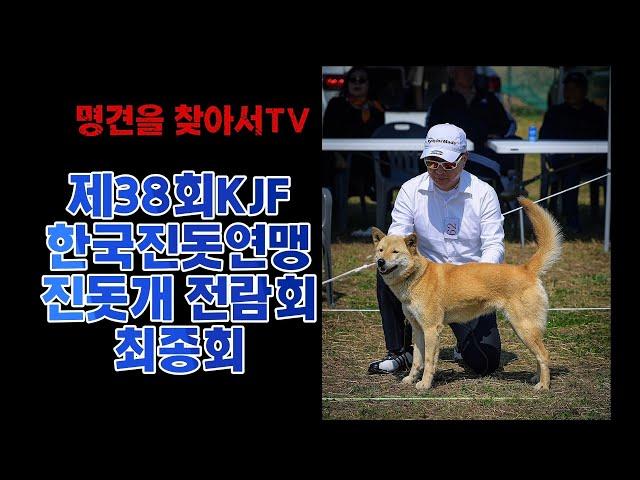 제38회 KJF한국진돗개연맹 진돗개 전람회 최종회