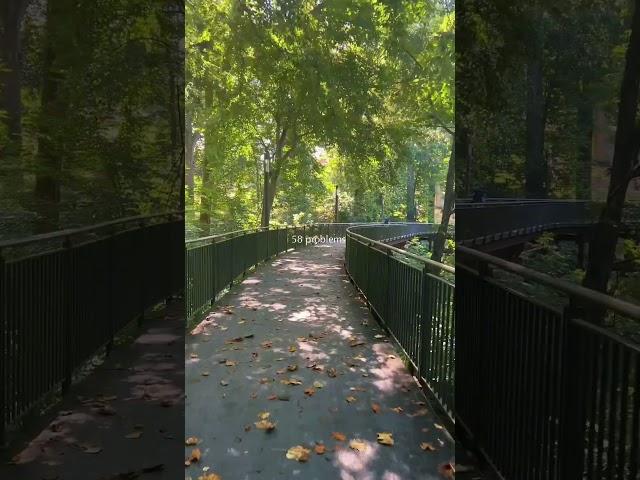 Happy fall from JHU  #jhu #johnshopkinsuniversity #shorts