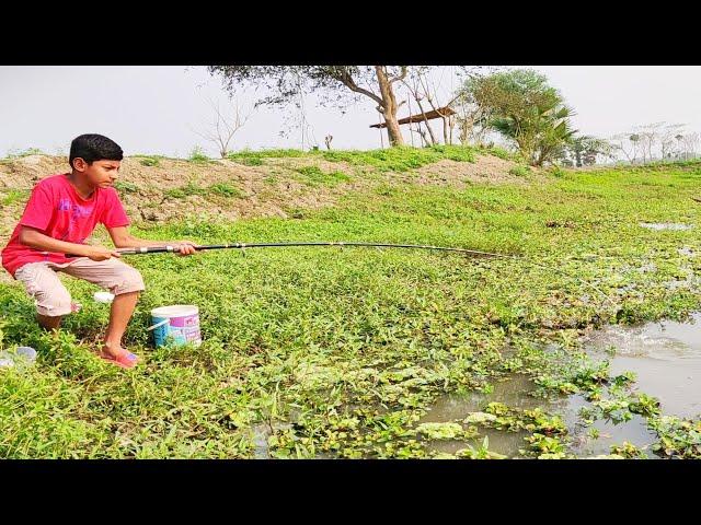 Hook ~ Traditional Hook Fishing ~ Fish king Bd