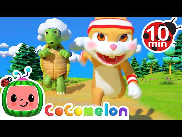 [ 10 MIN LOOP ] The Tortoise and The Hare! | Animal Cocomelon Loops | Nursery Rhymes & Kids Songs