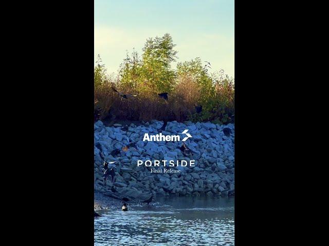 獨有河景城市屋Riverside Duplex 1607尺sqft 3 房beds + Den ~ Portside by Anthem @theanthemway 最后一批 萬勿錯過 烈治文無須過橋