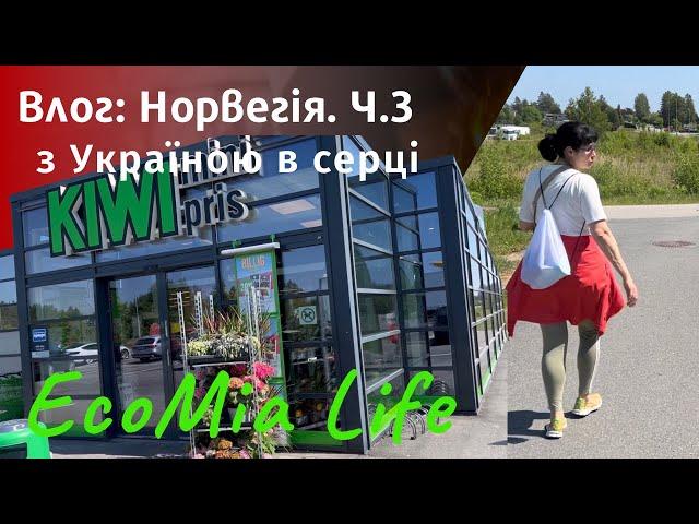 Влог: Норвегія. Супермаркет. Барбекю. Частина 4/червень 4/ EcoMia Life