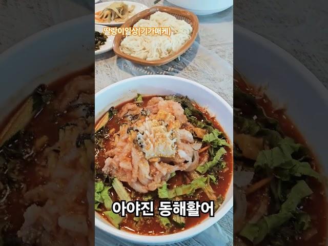 물회 맛집임!!! 아야진 동해활어물회 #물회 #아야진 #강원도고성