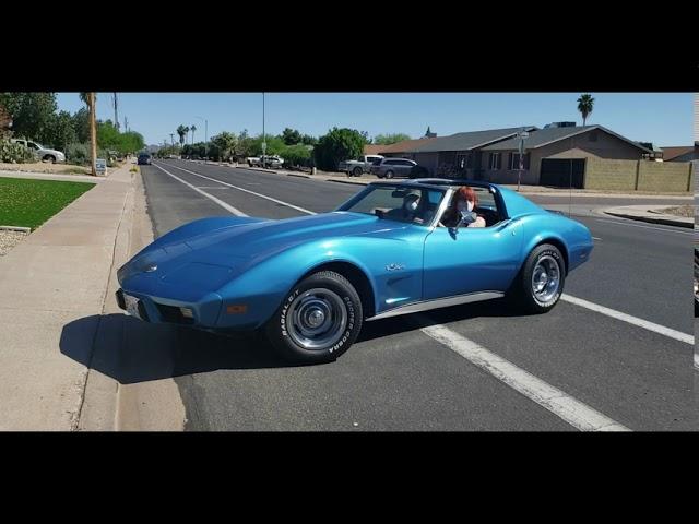 Annah meets a 1976 Corvette Stingray - Saturday, April 25, 2020