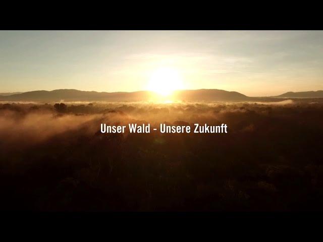 Unser Wald - Unsere Zukunft | Umweltschutz & Ökotourismus in Kambodscha