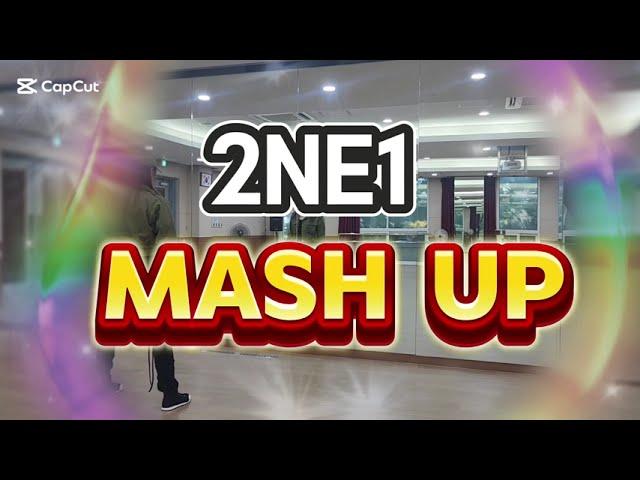 2NE1  Mash up - BABYMONSTER /다이어트댄스/이지포인트댄스