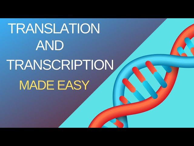 Basic Steps of Translation and Transcription