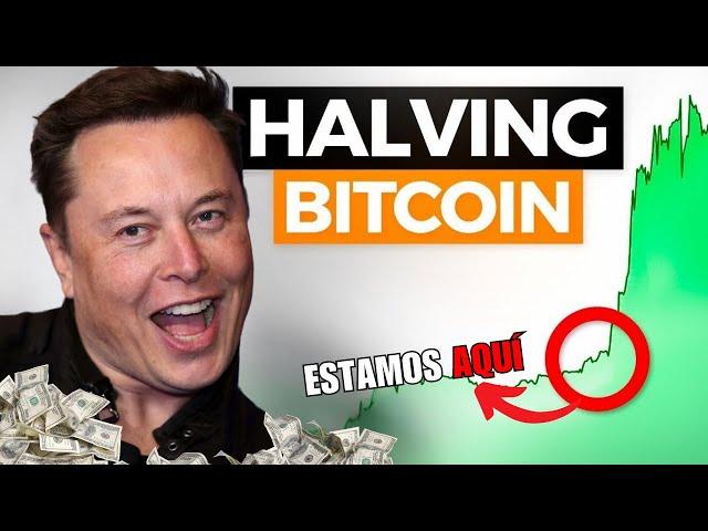  HALVING de BITCOIN Explicado por EXPERTOS + @Bit2MeOfficial