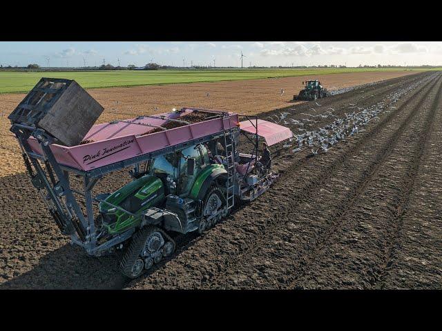 *NEW* Deutz-Fahr team planting tulip bulbs | Agrotron 6230 & 8280 TTV Warrior | Borst Tulips