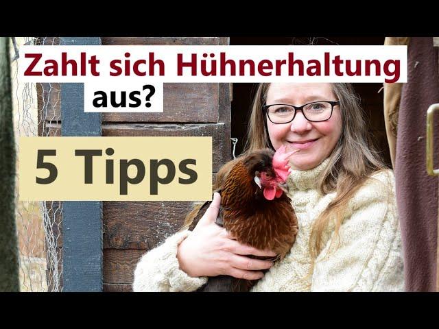 Geld sparen mit Hühnerhaltung - ist das Möglich? 5 Tipps für preisgünstige Eier aus dem Garten