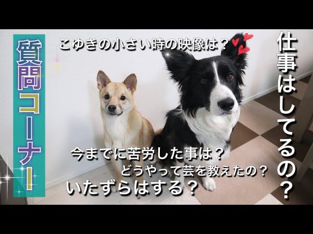 【質問コーナー】祝1万人記念です！