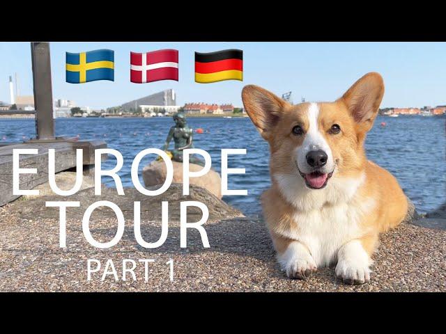 EUROPE ADVENTURE (1/3) - Topi the Corgi