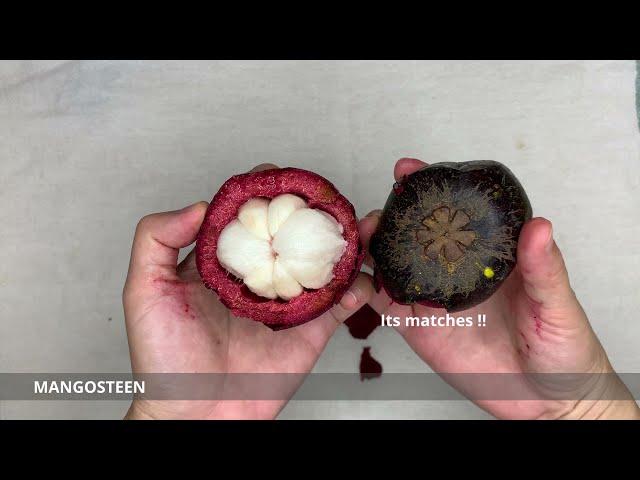 How to eat Mangosteen - The fruit that never lies.