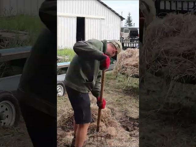 Cleaning up around the Woodland Mill with Weed Eater