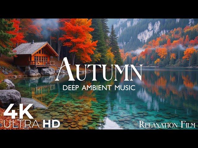 Autumn 4K - 12 Hours of Deep Relaxing Music | Relaxation Film | Nature Video Ultra HD