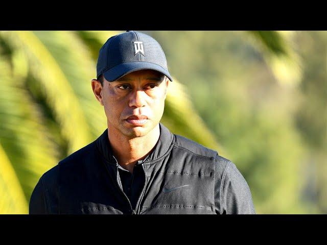 Reconstructing Tiger Woods’s Car Crash Scene