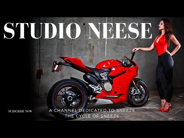 STUDIO NEESE:   THE CYCLE OF THE SNEEZE