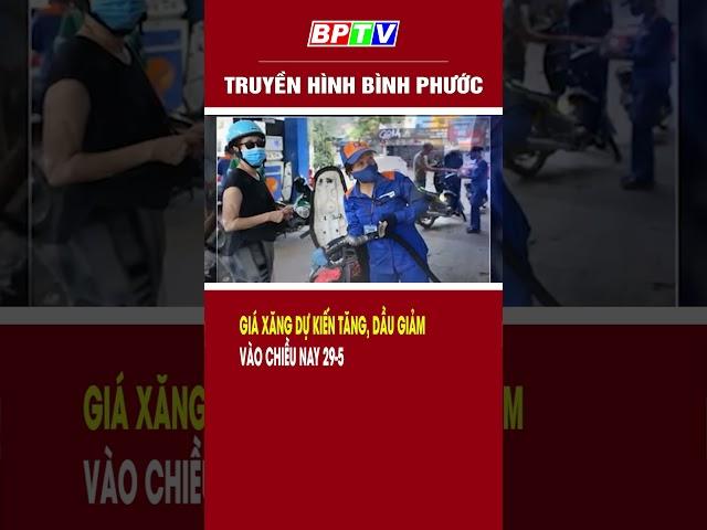 Giá xăng dự kiến tăng, dầu giảm vào chiều nay 29-5 #shorts  | BPTV