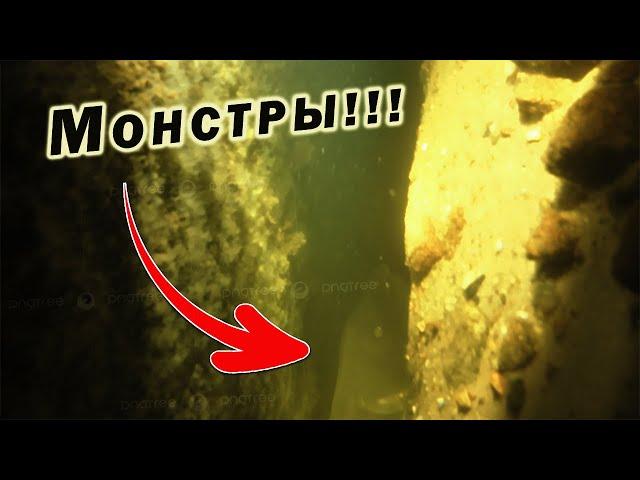ИХ НУЖНО ОТКАПЫВАТЬ ПОД ВОДОЙ!!! СЕКРЕТЫ ПОДВОДНОЙ ОХОТЫ!!!