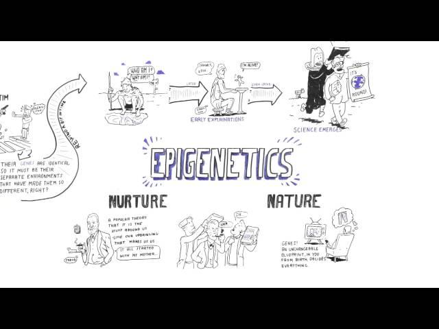 Epigenetics: Nature vs nurture