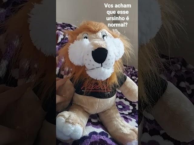 Ursinho Proerd