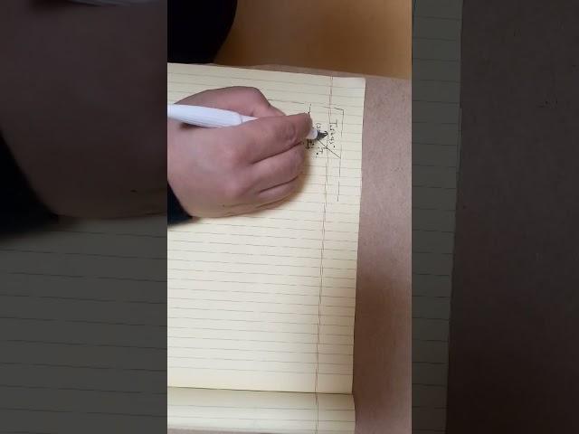 turtle physics test