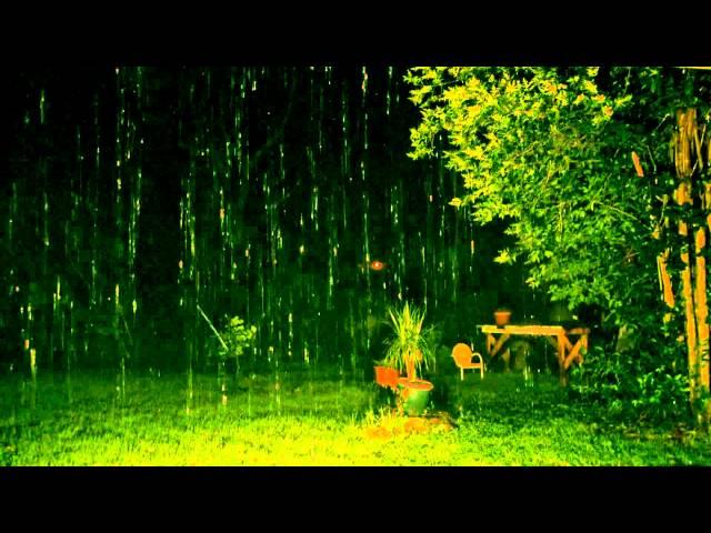 "Rain Sounds" with no Music 90mins "Sleep Sounds" ASMR