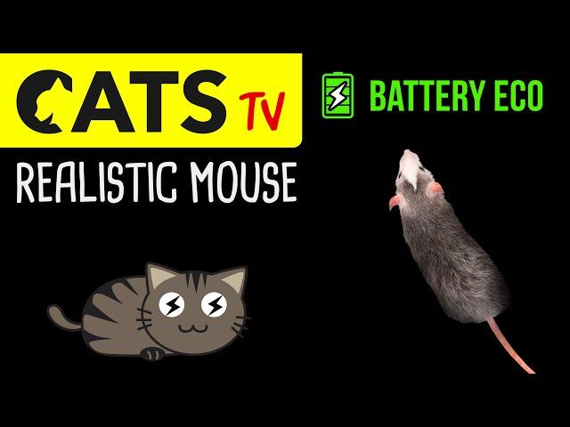 CATS TV - Realistic Mouse  Battery ECO - 3 HOURS - 60fps (Game for cats to watch)