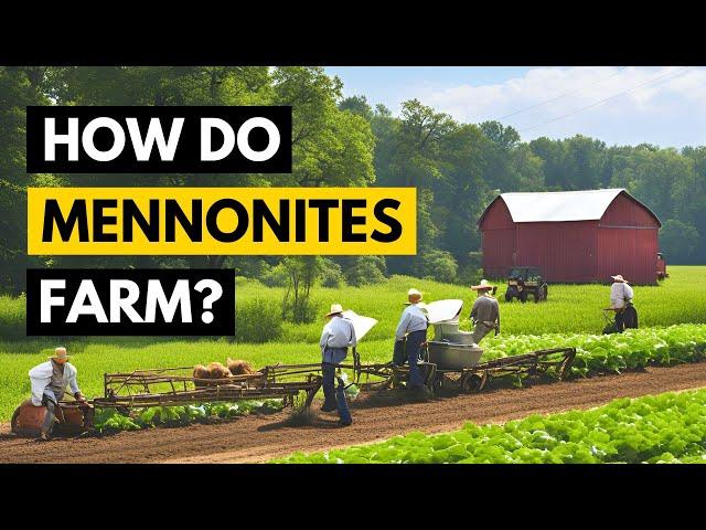 Look INSIDE a Mennonite Farm - Growing Food Without Electricity