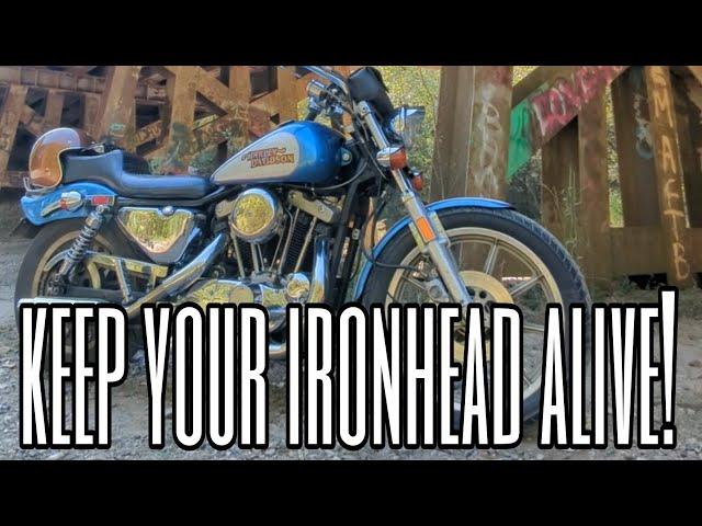 How To Keep An Ironhead Sportster Alive: Maintenance Nobody Talks About