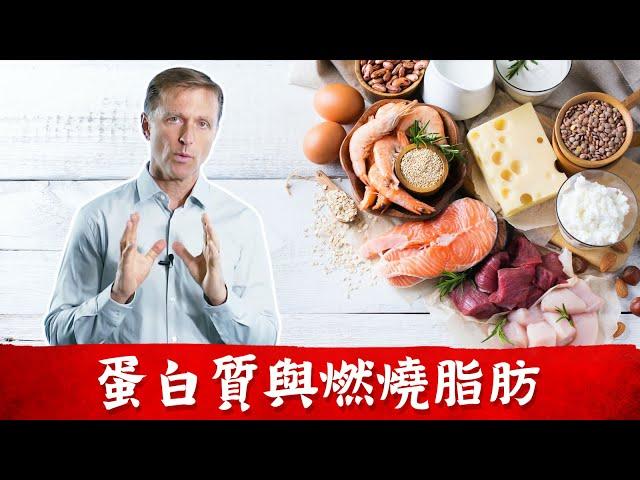 吃蛋白質,燃燒脂肪, 減肥食物那些?吃錯了,怎麼減都肥！ 柏格醫生Dr Berg