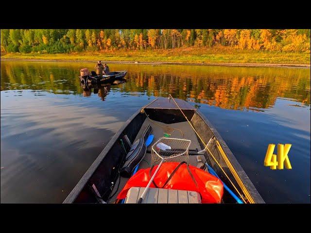 НАШЛИ СЕКРЕТНОЕ МЕСТО И НАЧАЛАСЬ РЫБАЛКА - 1 ЧАСТЬ | WE FOUND A SECRET PLACE AND FISHING STARTED.
