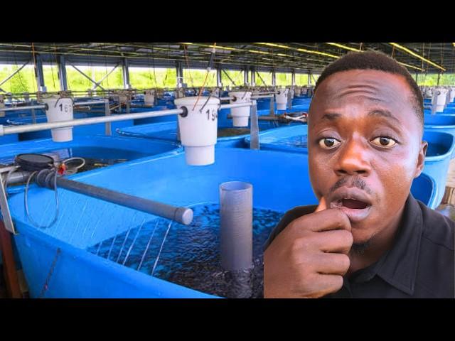 INSIDE a SUCCESSFUL Fish Farm in Lagos Nigeria | sejfarms