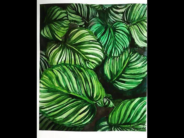 [Watercolor] Vẽ lá đơn giản bằng màu nước | Tropical leaves watercolor speed paint