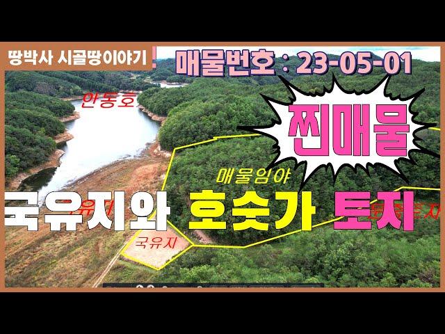 (23. 05. 01) 첩첩산중 안동호  최상류 호수 접한 청정지역 산림경영부지. 자연인 토지.