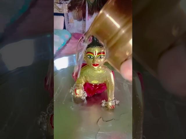 Shyam murli wala hai #entertainment #song #tseries #trendingshorts #laddugopal #vairalshort