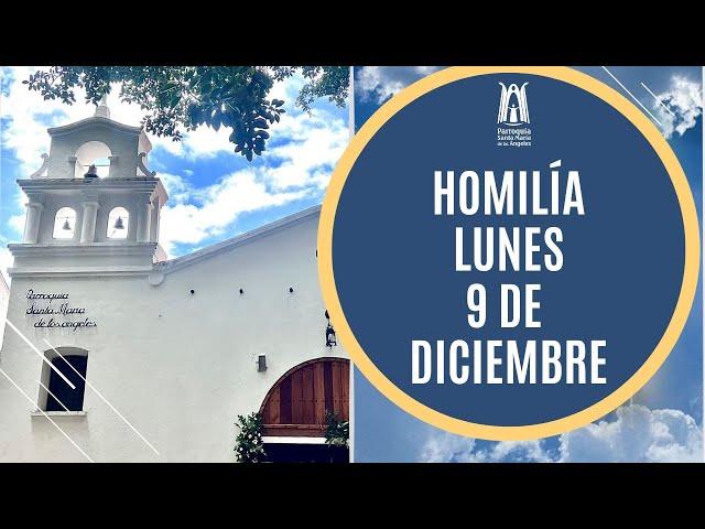 Homilía Lunes 9 de Diciembre  2024 - Parroquia Santa María de los Ángeles