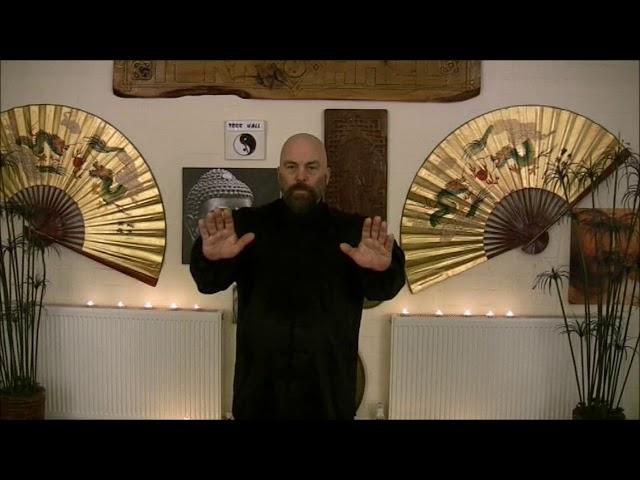 Brian J McKinney - Qigong Arms