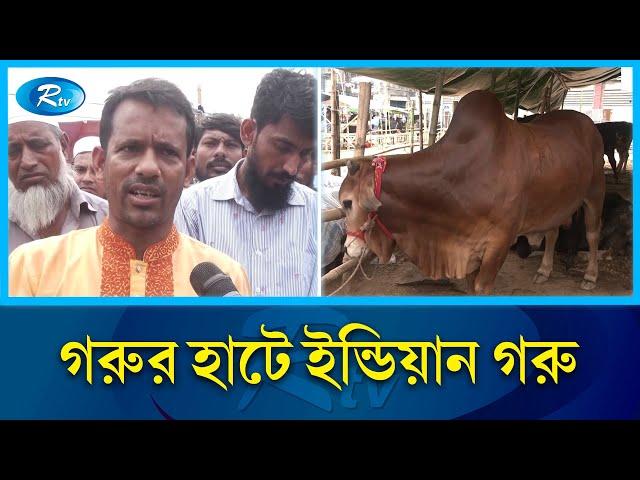 যেমন চলছে গরুর হাট | Cow | Rtv News