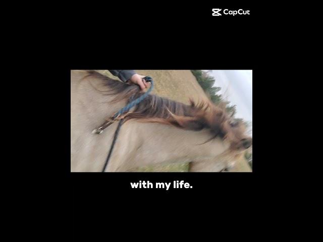 With my life  #horses #equestrian #buckskin