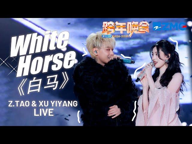 Z.TAO & Xu Yiyang Perform 'White Horse' LIVE | 2024-2025 Zhejiang TV New Year's Eve Gala