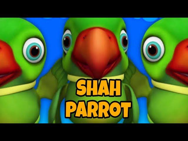 मिट्ठू गेहूं कह रहा है  | Mithu Mithu  #parrotlover #parrotsong #viralvideo #kundanshah