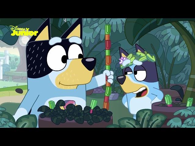 Bluey | Jogos Sem Fim