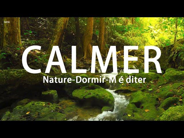 Musique Relaxante Pour Calmer L'esprit  Sons de la Nature - Dormir, Méditer